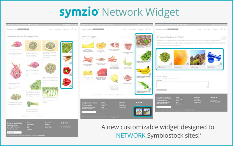 Symzio-widget-preview